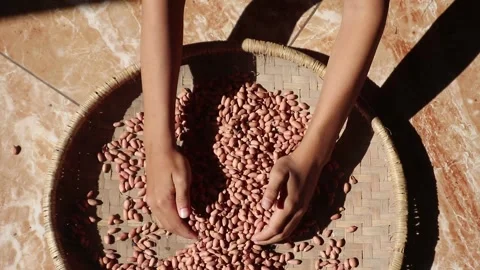 Hands holding peanuts. Food security campaign. Video stock 330829442