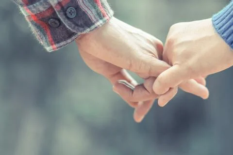 Hands holding Stock Photos