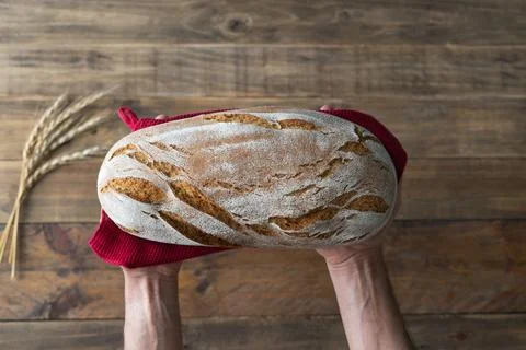 Hands holding a piece of rustic bread on wooden background with red napkin .. Stock Photos