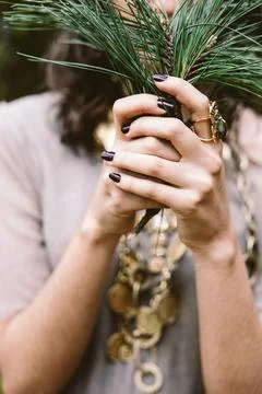 Hands Holding Pine Branches in Forest Stock Photos