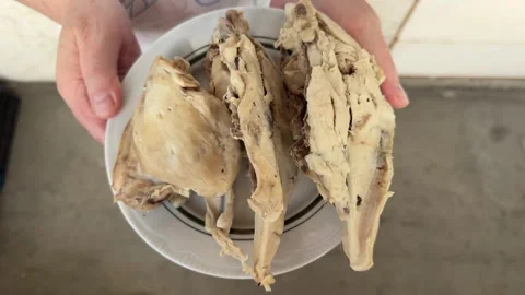 Hands holding plate with boiled chicken pieces Stock-Footage 345327097