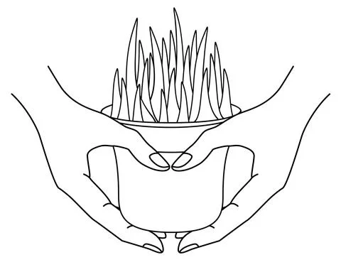 Hands holding a pot with a plant - vector linear illustration for coloring. Stock-Illustration