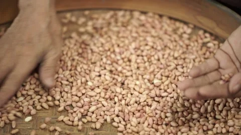 Hands holding raw peanuts Stock Footage 259270740