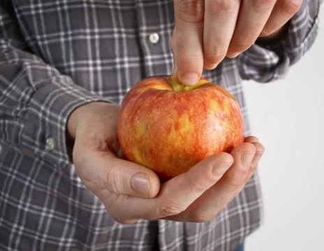 Hands holding red apple. Stock Photos
