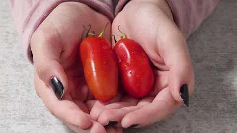 Hands holding red tomatoes in close up. Stock Footage 159541594