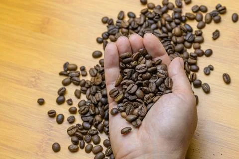 Hands holding roasted coffee beans on a table Photos