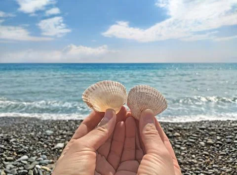 Hands holding seashells 写真素材