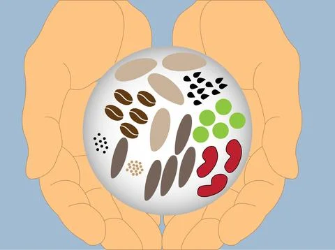 Hands holding seeds Stock Illustration