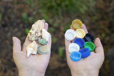 Hands holding several sea shells and plastic caps from disposable bottles Stock Photos