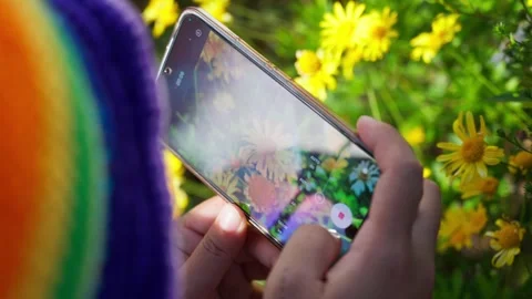 Hands holding smartphone and taking photo Stock Footage 300849698