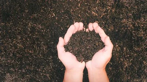 Hands holding soil in a heart shape on dark ground Stock Photos