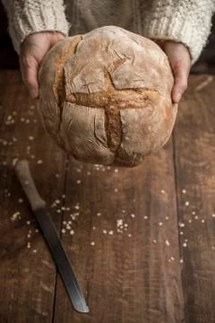 Hands holding sourdough bread on rustic background Stock Photos