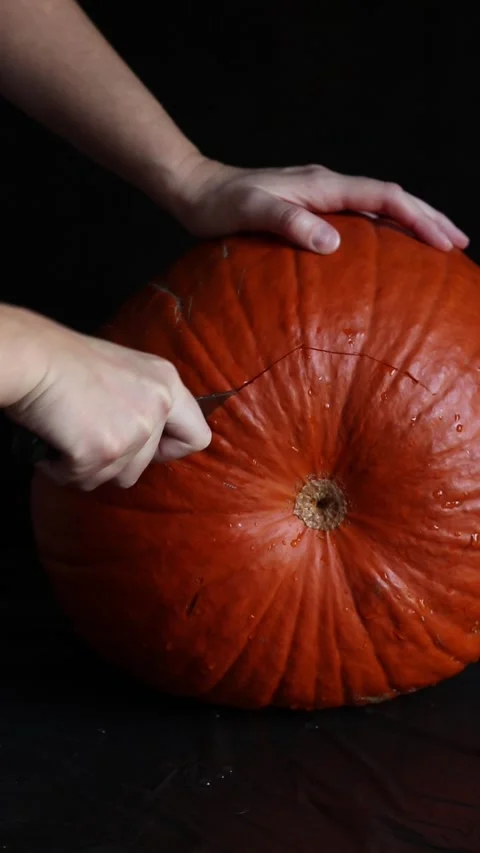 Hands holding the tail of a large pumpkin and carefully cutting it Video stock 347586000
