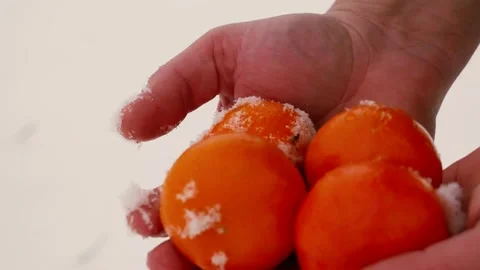 Hands holding tangerines in the snow Stock Footage 169039207