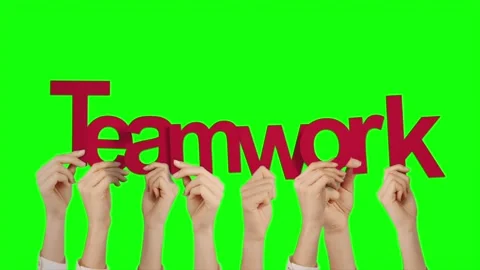 Hands holding teamwork text on isolated green screen background Stock Footage 320623001