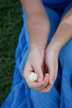 Hands holding tiny flower Fotos de archivo