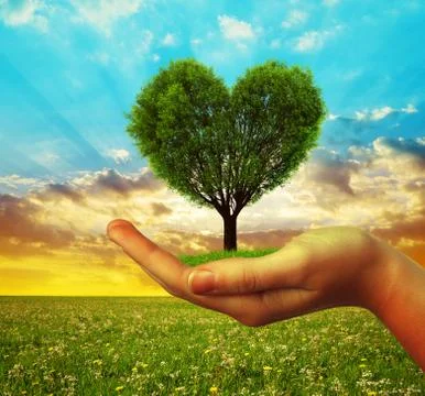Hands holding a tree in the shape of heart Stock Photos