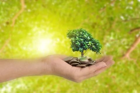 Hands holding tree sprouting from a handful of coins. Investment concept Stock Photos