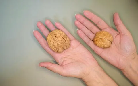 Hands Holding Two Walnuts of Different Sizes on Green Background Stock Photos