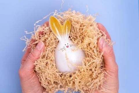 Hands holding a white Easter bunny sitting in a homemade nest on a blue bac.. Stock Photos