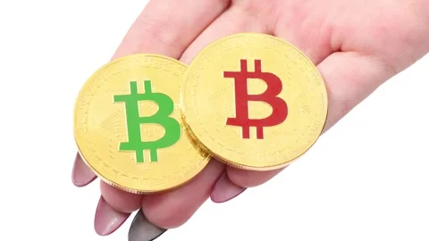 Hands holds and shows two golden cryptocurrency bitcoin on white background Stock Footage 249951196