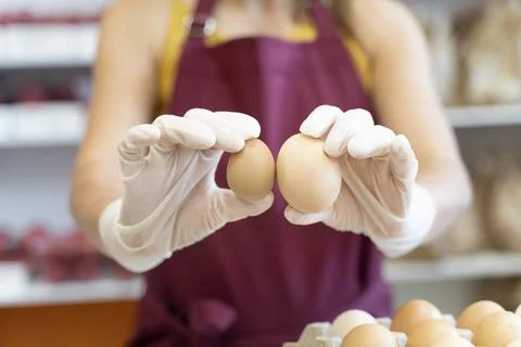 Hands holds a double chicken and a guinea fowl egg. Girl seller holds eggs Stock Photos