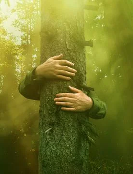Hands hugging a tree in green magical forest 스톡 사진