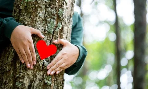 Hands hugging trees on world environment day. Woman in the woods hugging a .. Stock Photos