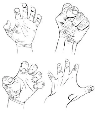 Hands Stock Illustration
