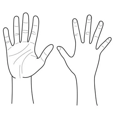 Hands Stock Illustration
