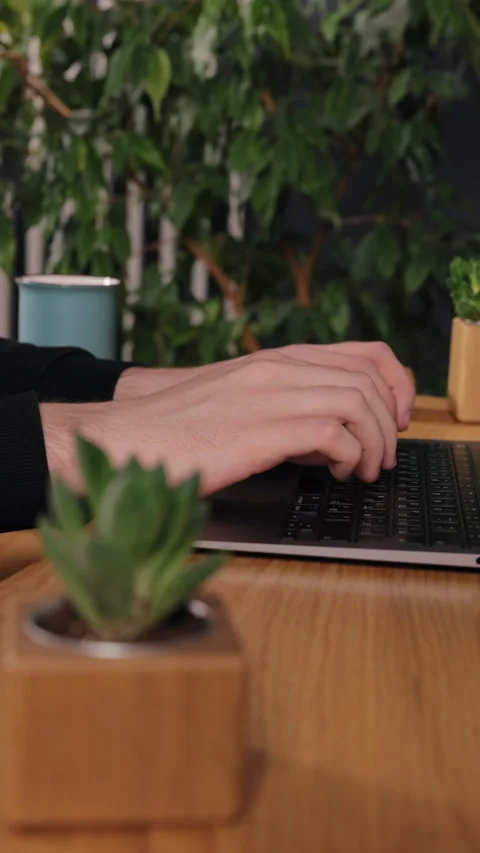 Hands inputting, Natural foreground, Typing hands Stock Footage 297185022