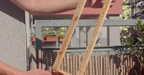 Hands inspecting wooden beehive comb on sunny urban balcony with beekeeping Stock Footage 344884880