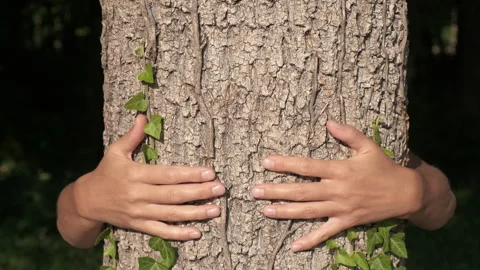 Hands intertwined tree trunk. Stock-Footage 232959382