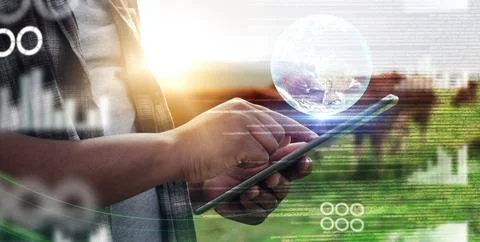 Hands, iot tablet and man on farm tracking progress of growth of plants. Overlay Stock Photos