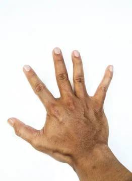 Hands isolated on white background Stock Photos