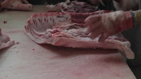 Hands, knife and pork  Stock Footage 81036109