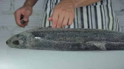Hands with knife cuts salmon fish. Raw fish on white background 스톡 동영상 75544649