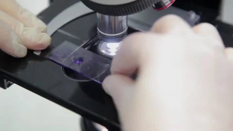 Hands of a laboratory assistant put samples with analyzes under a microscope. Stock Footage 132251836