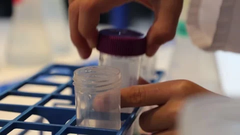 The Hands of the Laboratory Technician Operate With Test Tubes and a Pipette Stock Footage 254517055
