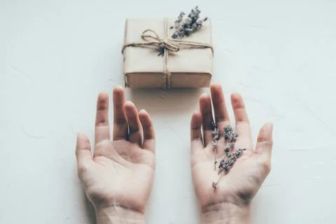 Hands lavender gift Foto stock