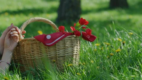 Hands leaning on a picnic basket Stock Footage 100003985