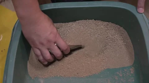 Hands Lifting Sifted Sand from a Tray into a Bowl Stock Footage 340901122