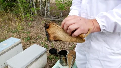 Hands Lighting Smoker Stock Footage 240645609