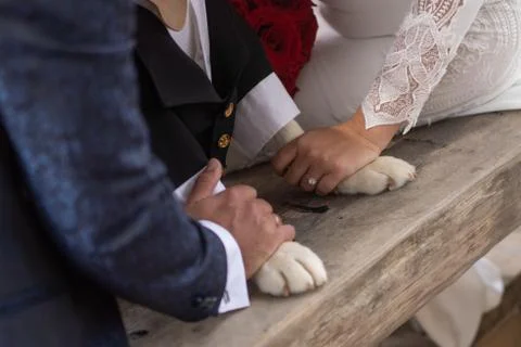 Hands link with feeling Stock Photos