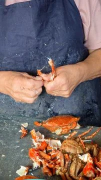Hands of a local worker peeling fresh Chilean crab at a market. (Jaiba) Stock Photos