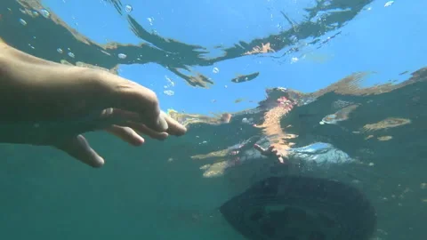 Hands of lovers touch under water Stock Footage 99939580