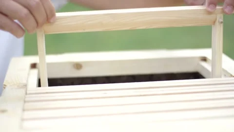 Hands Lowering Pine Frame Into Open Bee Box, Sunny Garden Apiary, Close Up Stock Footage 341296256