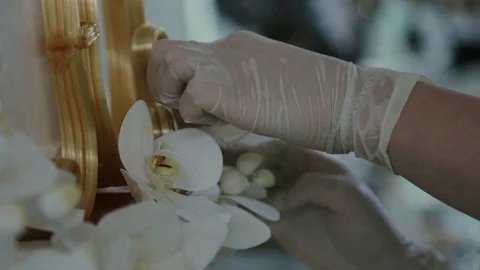 Hands make decoration for a festive cake Stock Footage 82670104