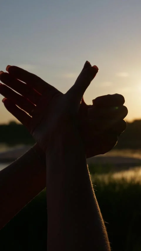 Hands Making Bird Shadow Silhouette Against Golden Hour Sunset Stock Footage 345422774