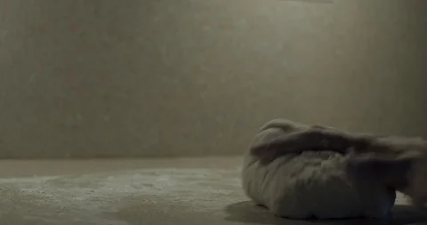 Hands Making Bread Stock Footage 124661540